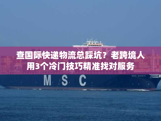 查国际快递物流总踩坑？老跨境人用3个冷门技巧精准找对服务