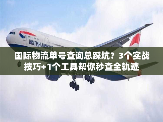 国际物流单号查询总踩坑?3个实战技巧+1个工具帮你秒查全轨迹 国际物流单号查询总踩坑?3个实战技巧+1个工具帮你秒查全轨迹