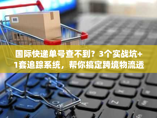 国际快递单号查不到？3个实战坑+1套追踪系统，帮你搞定跨境物流透明化