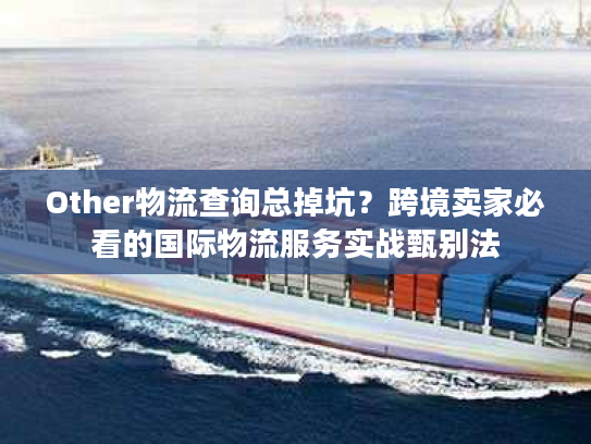Other物流查询总掉坑?跨境卖家必看的国际物流服务实战甄别法 Other物流查询总掉坑?跨境卖家必看的国际物流服务实战甄别法