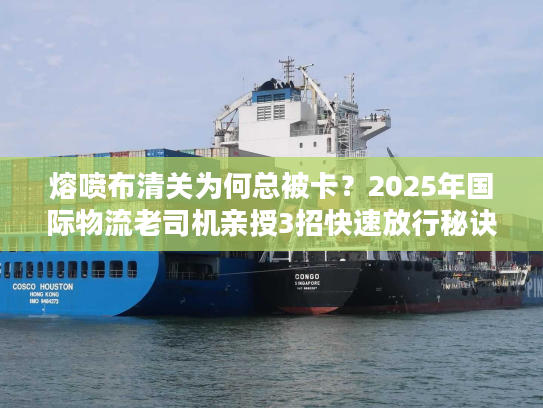 熔喷布清关为何总被卡？2025年国际物流老司机亲授3招快速放行秘诀