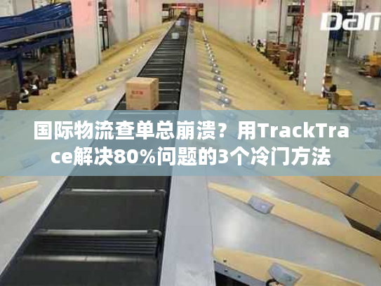 国际物流查单总崩溃？用TrackTrace解决80%问题的3个冷门方法