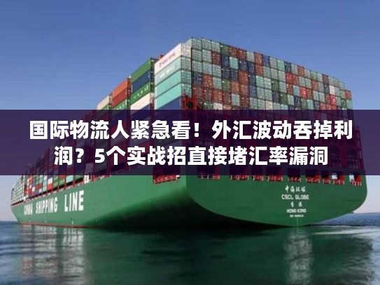 国际物流人紧急看！外汇波动吞掉利润？5个实战招直接堵汇率漏洞