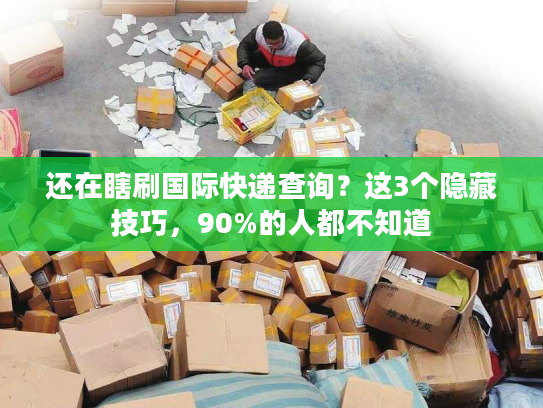 还在瞎刷国际快递查询?这3个隐藏技巧,90%的人都不知道 还在瞎刷国际快递查询?这3个隐藏技巧,90%的人都不知道
