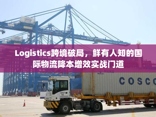 Logistics跨境破局,鲜有人知的国际物流降本增效实战门道 Logistics跨境破局,鲜有人知的国际物流降本增效实战门道