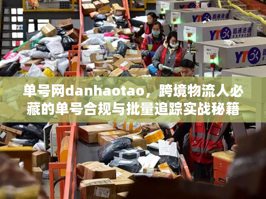 单号网danhaotao，跨境物流人必藏的单号合规与批量追踪实战秘籍