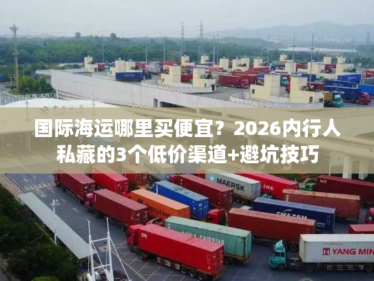 国际海运哪里买便宜？2026内行人私藏的3个低价渠道+避坑技巧