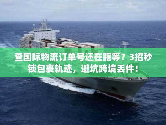 查国际物流订单号还在瞎等?3招秒锁包裹轨迹,避坑跨境丢件! 查国际物流订单号还在瞎等?3招秒锁包裹轨迹,避坑跨境丢件!
