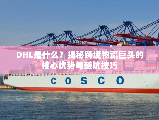 DHL是什么？揭秘跨境物流巨头的核心优势与避坑技巧
