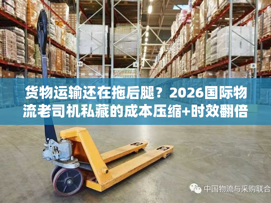 货物运输还在拖后腿？2026国际物流老司机私藏的成本压缩+时效翻倍秘籍
