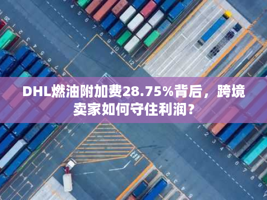DHL燃油附加费28.75%背后，跨境卖家如何守住利润？