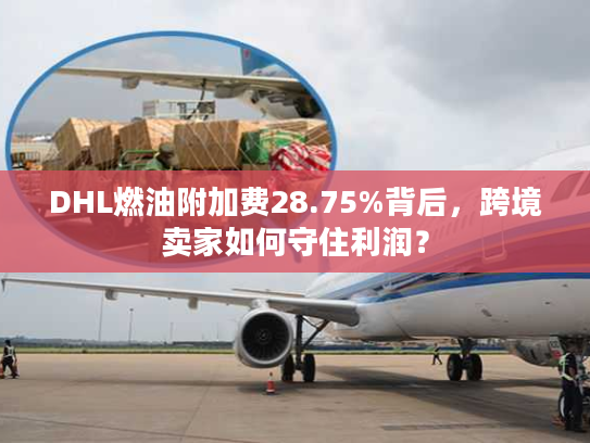 DHL燃油附加费28.75%背后，跨境卖家如何守住利润？