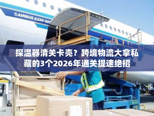 探温器清关卡壳？跨境物流大拿私藏的3个2026年通关提速绝招