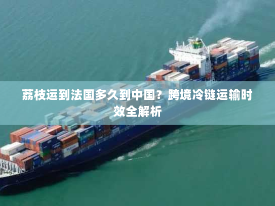 荔枝运到法国多久到中国？跨境冷链运输时效全解析