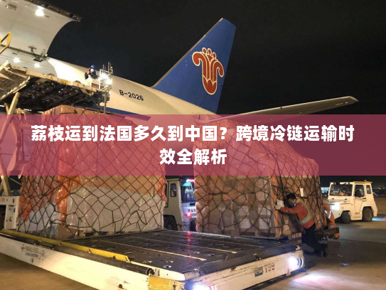 荔枝运到法国多久到中国？跨境冷链运输时效全解析