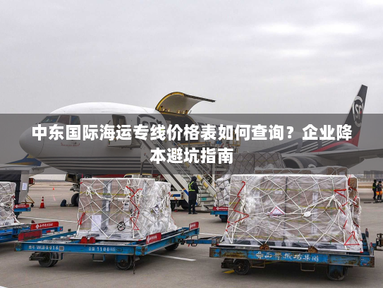 中东国际海运专线价格表如何查询？企业降本避坑指南