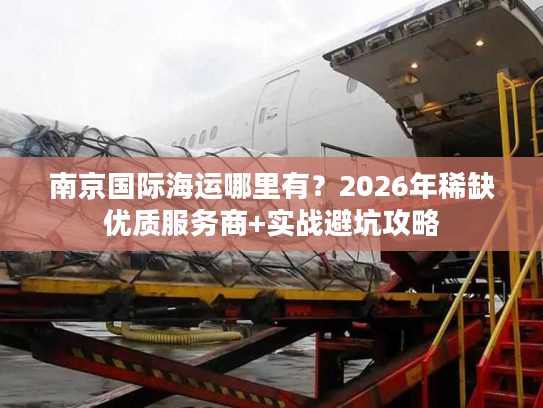 南京国际海运哪里有？2026年稀缺优质服务商+实战避坑攻略