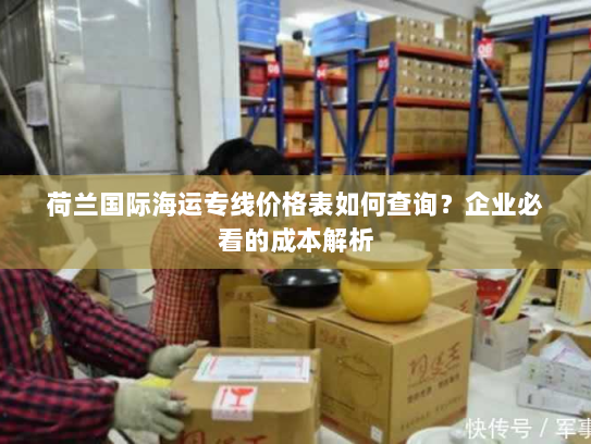荷兰国际海运专线价格表如何查询？企业必看的成本解析