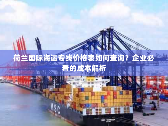 荷兰国际海运专线价格表如何查询？企业必看的成本解析