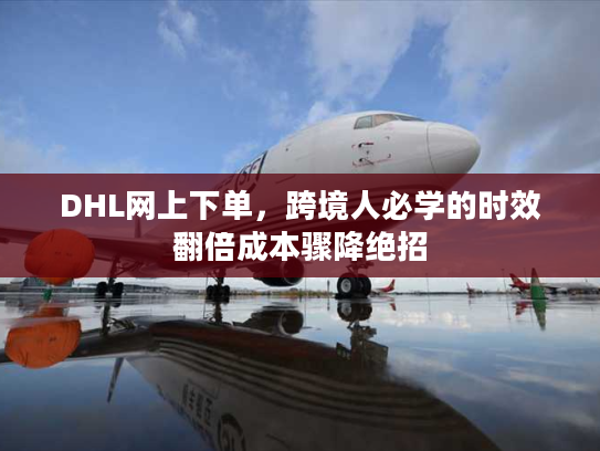 DHL网上下单,跨境人必学的时效翻倍成本骤降绝招 DHL网上下单,跨境人必学的时效翻倍成本骤降绝招