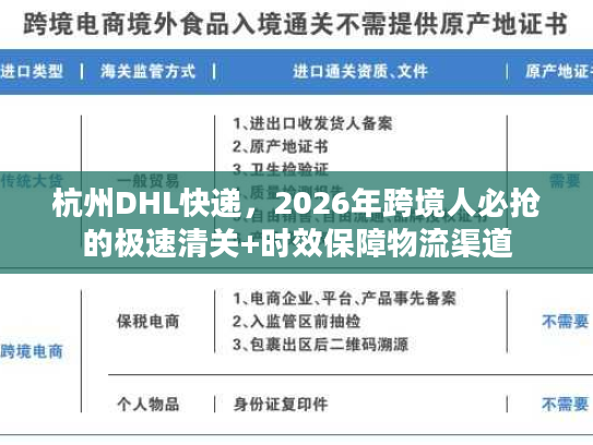 杭州DHL快递，2026年跨境人必抢的极速清关+时效保障物流渠道