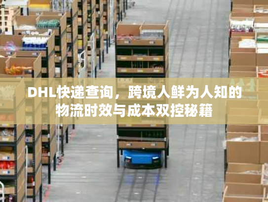 DHL快递查询，跨境人鲜为人知的物流时效与成本双控秘籍
