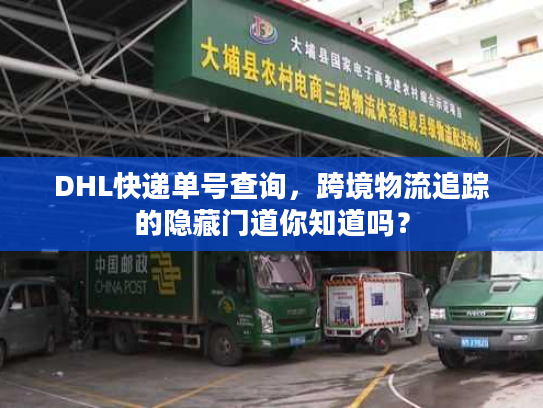 DHL快递单号查询，跨境物流追踪的隐藏门道你知道吗？