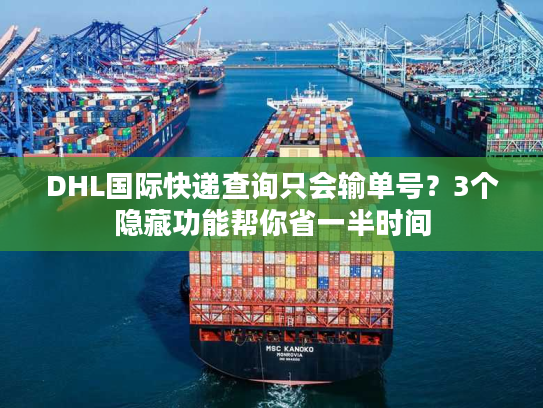 DHL国际快递查询只会输单号？3个隐藏功能帮你省一半时间