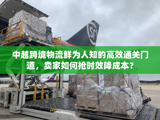 中越跨境物流鲜为人知的高效通关门道，卖家如何抢时效降成本？