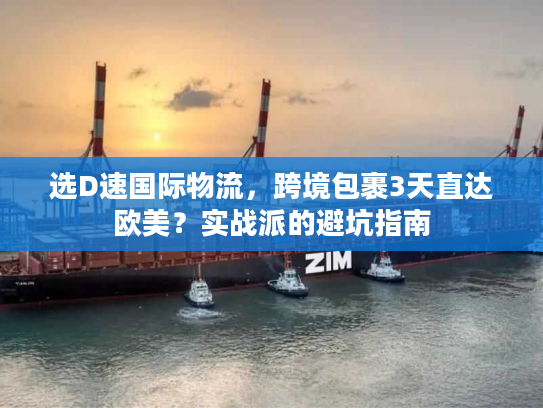 选D速国际物流,跨境包裹3天直达欧美?实战派的避坑指南 选D速国际物流,跨境包裹3天直达欧美?实战派的避坑指南