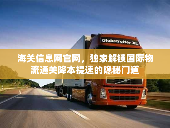 海关信息网官网，独家解锁国际物流通关降本提速的隐秘门道