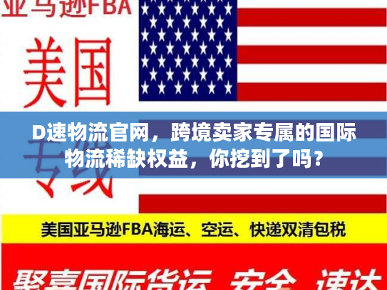 D速物流官网，跨境卖家专属的国际物流稀缺权益，你挖到了吗？