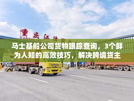 马士基船公司货物跟踪查询，3个鲜为人知的高效技巧，解决跨境货主90%的痛点