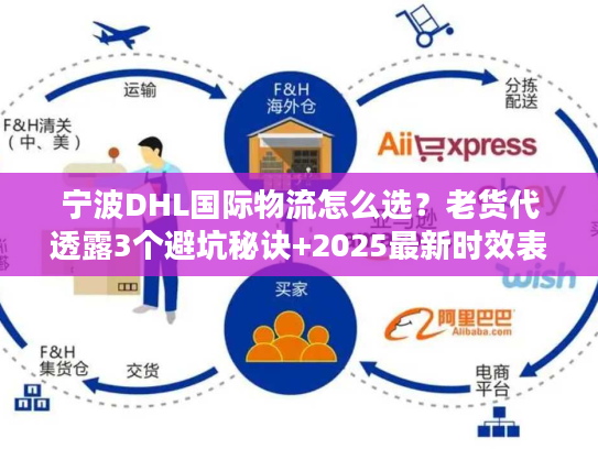 宁波DHL国际物流怎么选？老货代透露3个避坑秘诀+2025最新时效表