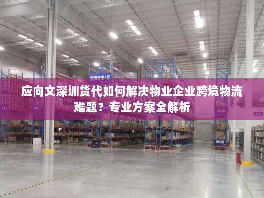 应向文深圳货代如何解决物业企业跨境物流难题?专业方案全解析 应向文深圳货代如何解决物业企业跨境物流难题?专业方案全解析