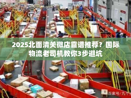 2025北面清关微店靠谱推荐？国际物流老司机教你3步避坑