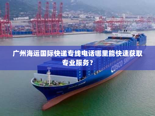 广州海运国际快递专线电话哪里能快速获取专业服务？