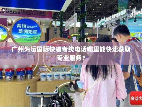 广州海运国际快递专线电话哪里能快速获取专业服务？
