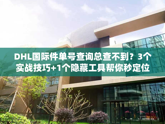 DHL国际件单号查询总查不到？3个实战技巧+1个隐藏工具帮你秒定位