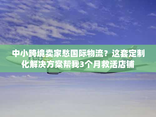 中小跨境卖家愁国际物流?这套定制化解决方案帮我3个月救活店铺 中小跨境卖家愁国际物流?这套定制化解决方案帮我3个月救活店铺