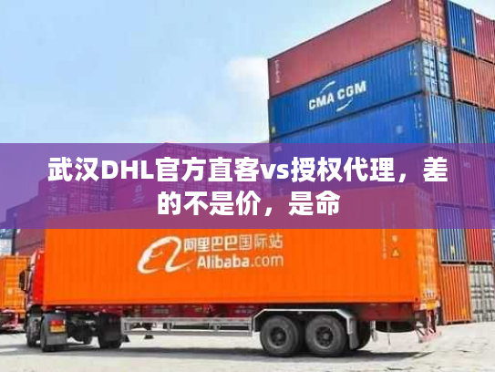 武汉DHL官方直客vs授权代理，差的不是价，是命