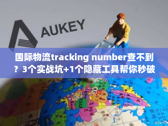 国际物流tracking number查不到？3个实战坑+1个隐藏工具帮你秒破局