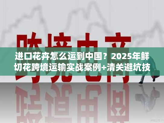 进口花卉怎么运到中国？2025年鲜切花跨境运输实战案例+清关避坑技巧