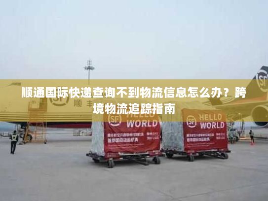 顺通国际快递查询不到物流信息怎么办？跨境物流追踪指南