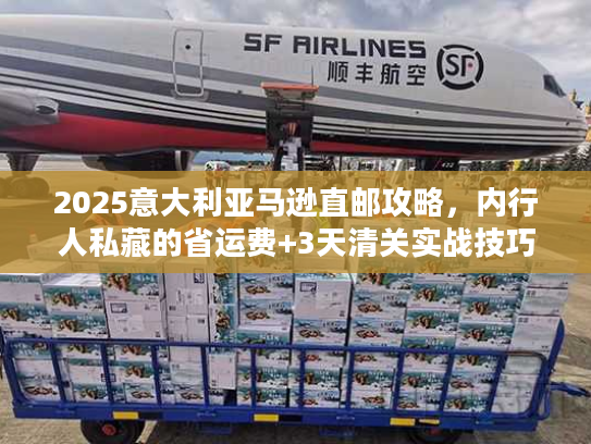 2025意大利亚马逊直邮攻略,内行人私藏的省运费+3天清关实战技巧? 2025意大利亚马逊直邮攻略,内行人私藏的省运费+3天清关实战技巧?