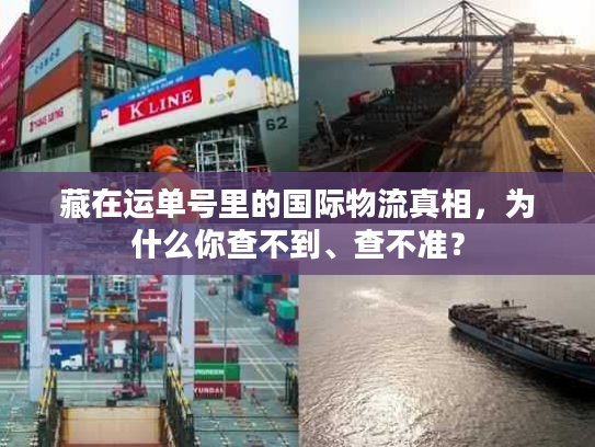 藏在运单号里的国际物流真相，为什么你查不到、查不准？