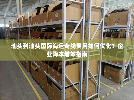 汕头到汕头国际海运专线费用如何优化？企业降本增效指南