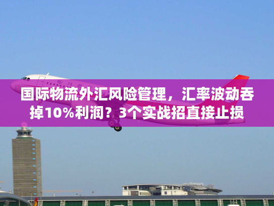 国际物流外汇风险管理，汇率波动吞掉10%利润？3个实战招直接止损