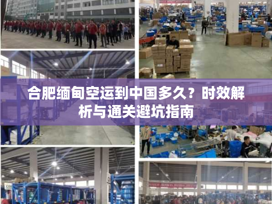 合肥缅甸空运到中国多久？时效解析与通关避坑指南