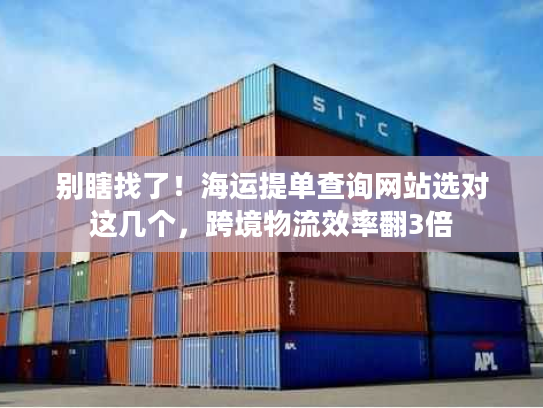 别瞎找了！海运提单查询网站选对这几个，跨境物流效率翻3倍
